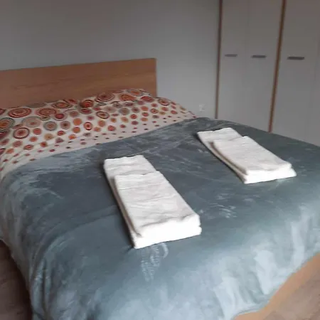 アパート Przestronne Mieszkanie W Centrum Chorzowa ホジューフ