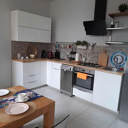 Przestronne Mieszkanie W Centrum Chorzowa アパート